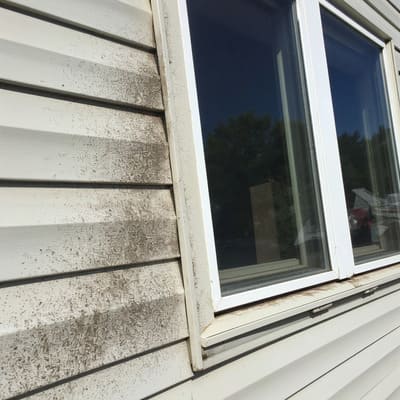 The Dangers of Mold & Mildew Growth in Humid Fort Myers Weather Thumbnail